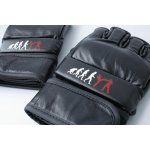 MMA & Boxing Gloves