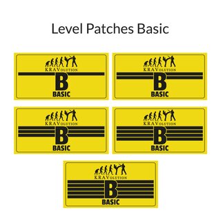 KRAVolution Basic Level Patch Basic 2
